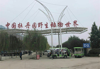 中国牡丹园第 19 张图片