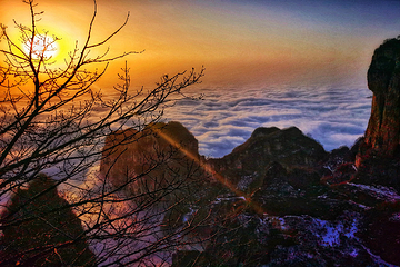 王莽岭风景区第 3 张图片