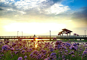 苏州阳澄湖半岛旅游度假区第 17 张图片