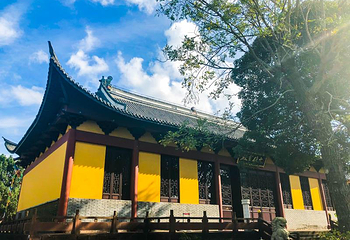 绿野欢乐谷第 65 张图片