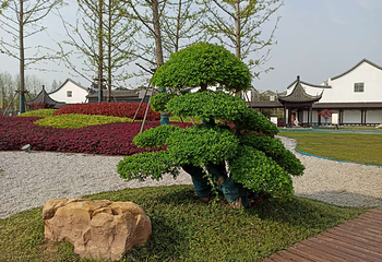 八卦洲陌上花渡第 58 张图片