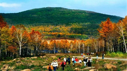 金龙山国家森林公园第 3 张图片