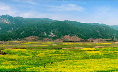 梅岭狮子峰第 7 张图片