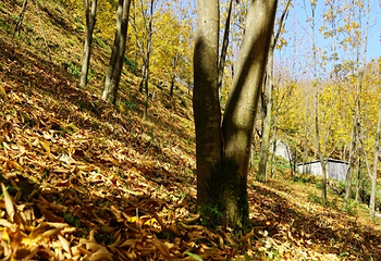 十门峡景区第 53 张图片