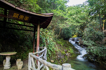神龙川风景区第 22 张图片