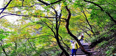 黑山大峡谷第 11 张图片