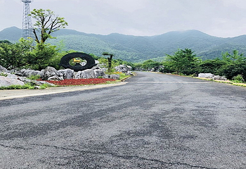 千岛湖石林景区第 41 张图片