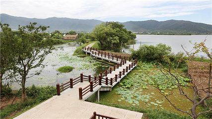 长兴太湖图影湿地文化园第 30 张图片