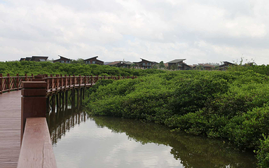 富力红树湾湿地公园第 50 张图片