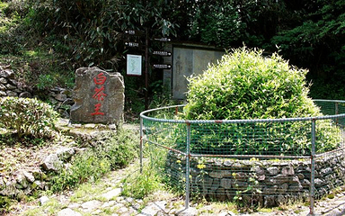 九龙峡冷泉谷景区第 13 张图片