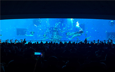 日照海洋公园第 182 张图片