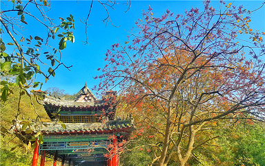 威海圣水观第 5 张图片