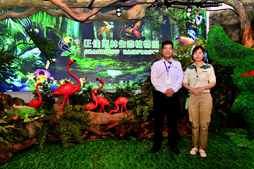 正佳雨林生态植物园第 117 张图片