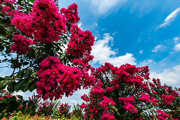 徐家庄旅游度假区第 68 张图片