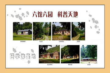 千年银杏谷文化旅游区第 34 张图片