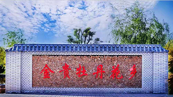 金贵牡丹花乡