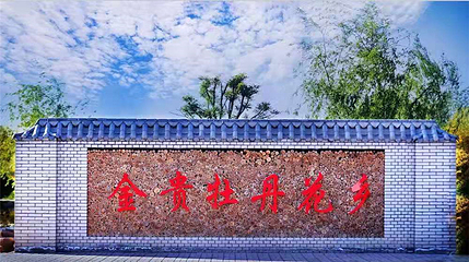 金贵牡丹花乡第 1 张图片