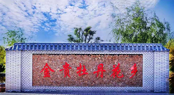 金贵牡丹花乡