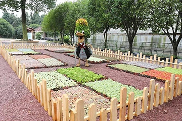 万象花卉多肉多花园(石门分园)第 7 张图片