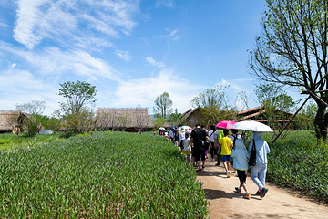 良渚古城遗址公园第 25 张图片