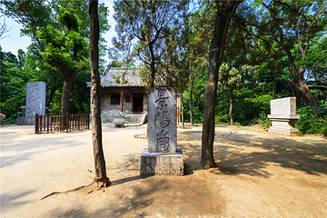 景阳冈第 5 张图片