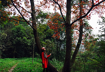 清远金子山原生态旅游风景区第 222 张图片