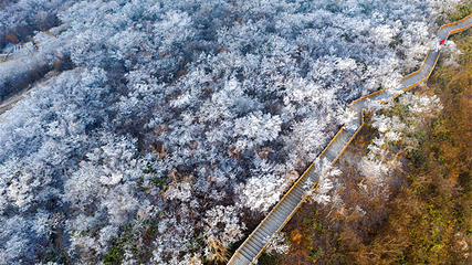 云上草原滑雪场第 64 张图片