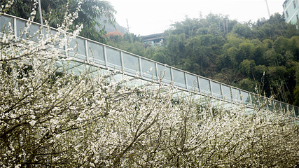 清溪谷旅游区-花田酒地景区第 108 张图片