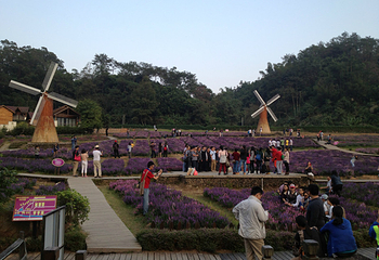 德庆盘龙峡生态旅游区第 31 张图片