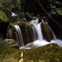 大龙门森林公园