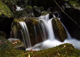 大龙门森林公园