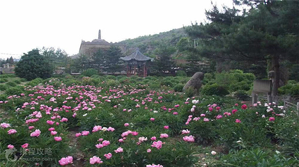 万花山第 3 张图片
