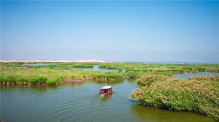 沙湖生态旅游区第 77 张图片