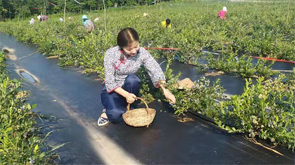 长白山历史文化园第 40 张图片
