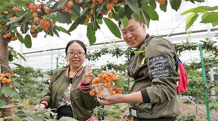 菊园百果园第 10 张图片