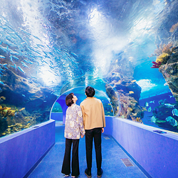 聊城海底世界