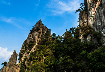 羊狮慕风景区第 53 张图片