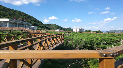 河口景区第 12 张图片