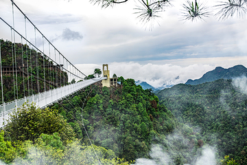 三百山景区第 43 张图片