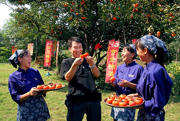 西溪国家湿地公园第 158 张图片