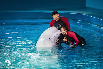 三亚亚特兰蒂斯失落的空间水族馆第 59 张图片