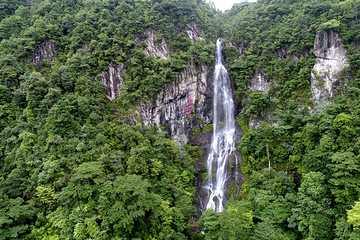 三百山景区第 33 张图片