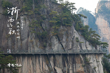 浙江大明山地质公园第 77 张图片