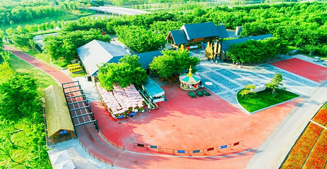 三台山国家森林公园第 58 张图片