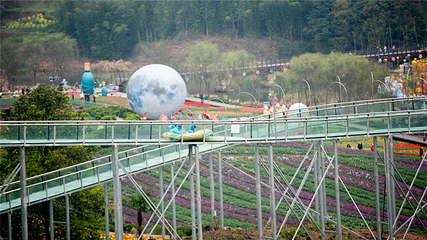清溪谷旅游区-花田酒地景区第 102 张图片