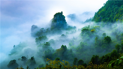 巴山大峡谷第 101 张图片