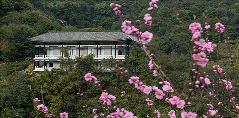 北溪文苑风景区第 47 张图片