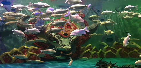 湄公河水底世界第 28 张图片