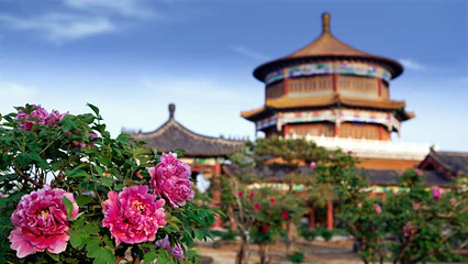 丽正园第 9 张图片
