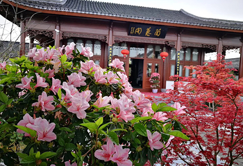 宁波植物园第 7 张图片